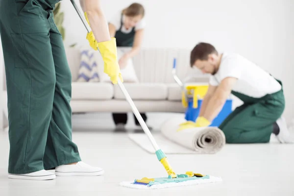 Professional carpet cleaning service in West Deptford, NJ